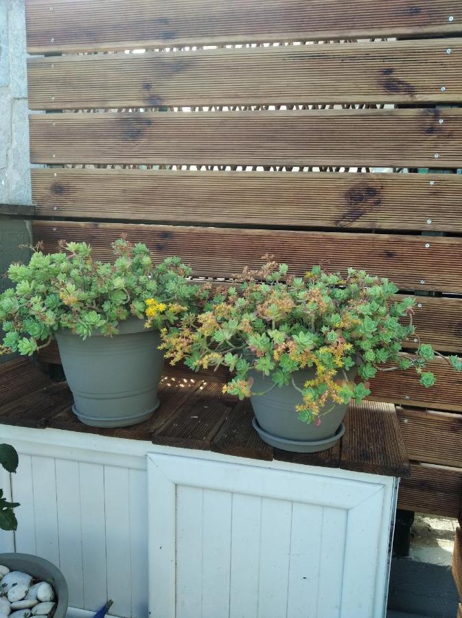 Green Garden Кавала Екстериор снимка