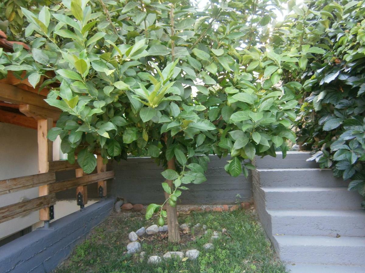 Green Garden Кавала Екстериор снимка
